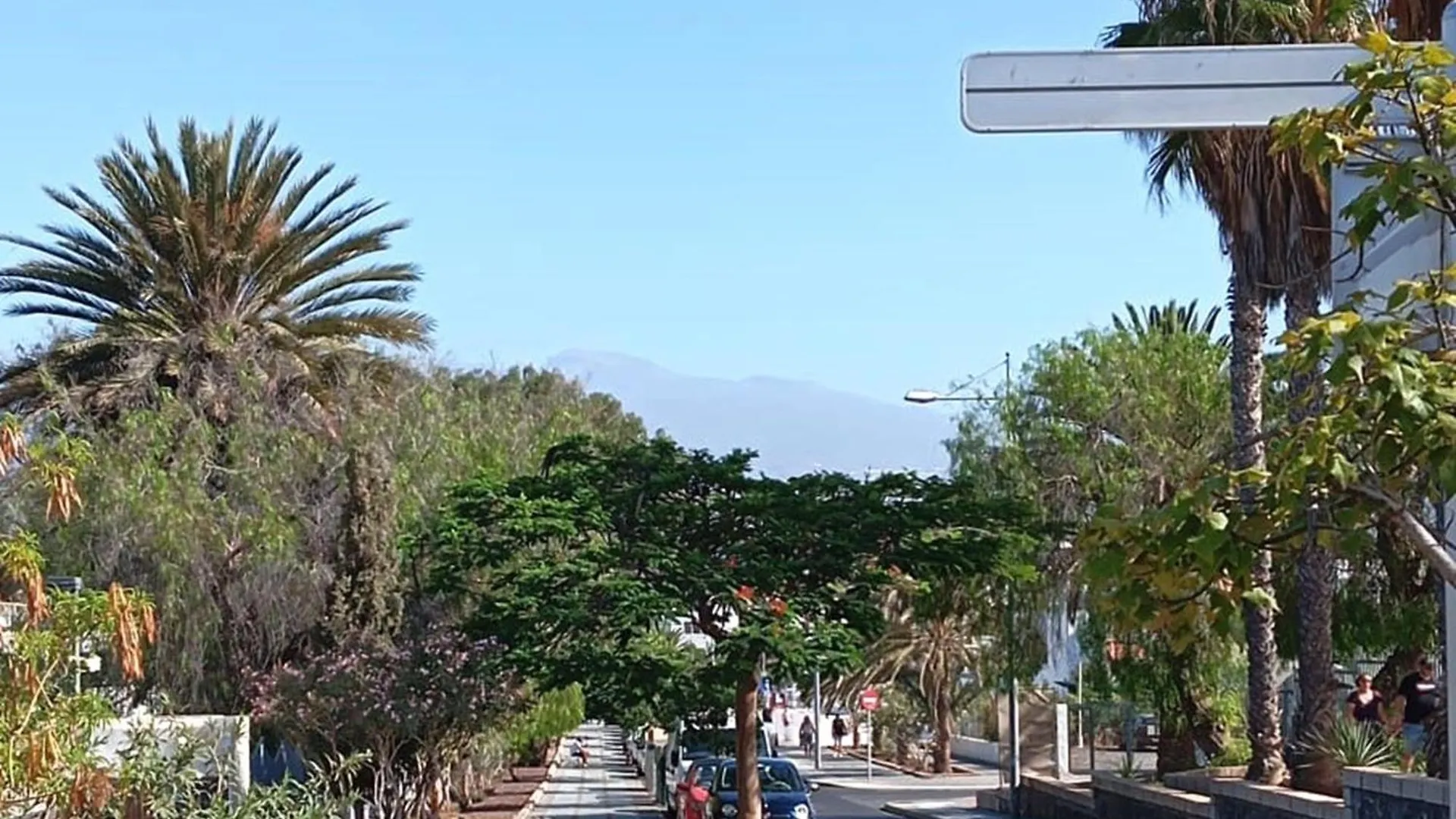Apartment Parrot Paradise Studio, Wifi, Smart Tv, Pool Costa Del Silencio