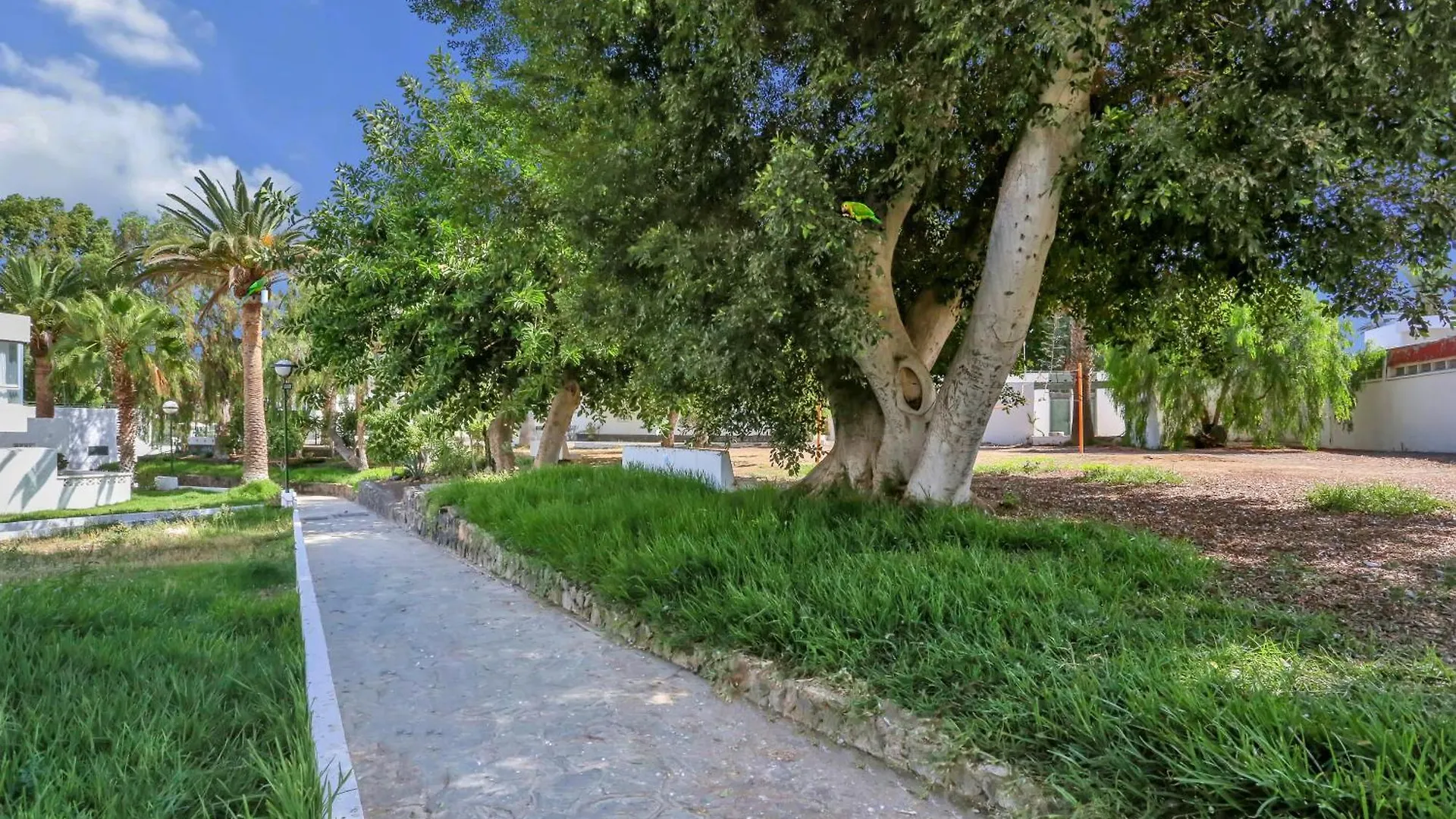 Parrot Paradise Studio, Wifi, Smart Tv, Pool Costa Del Silencio